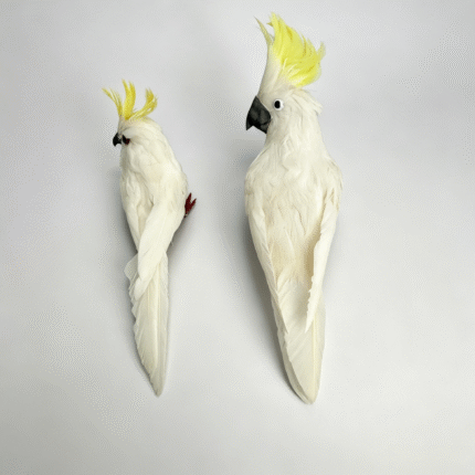 26S0257/26S0258