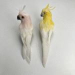 26S0261/26S0262