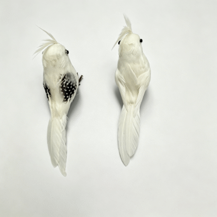 26S0277