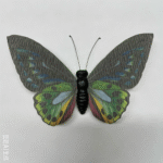 26T0616
