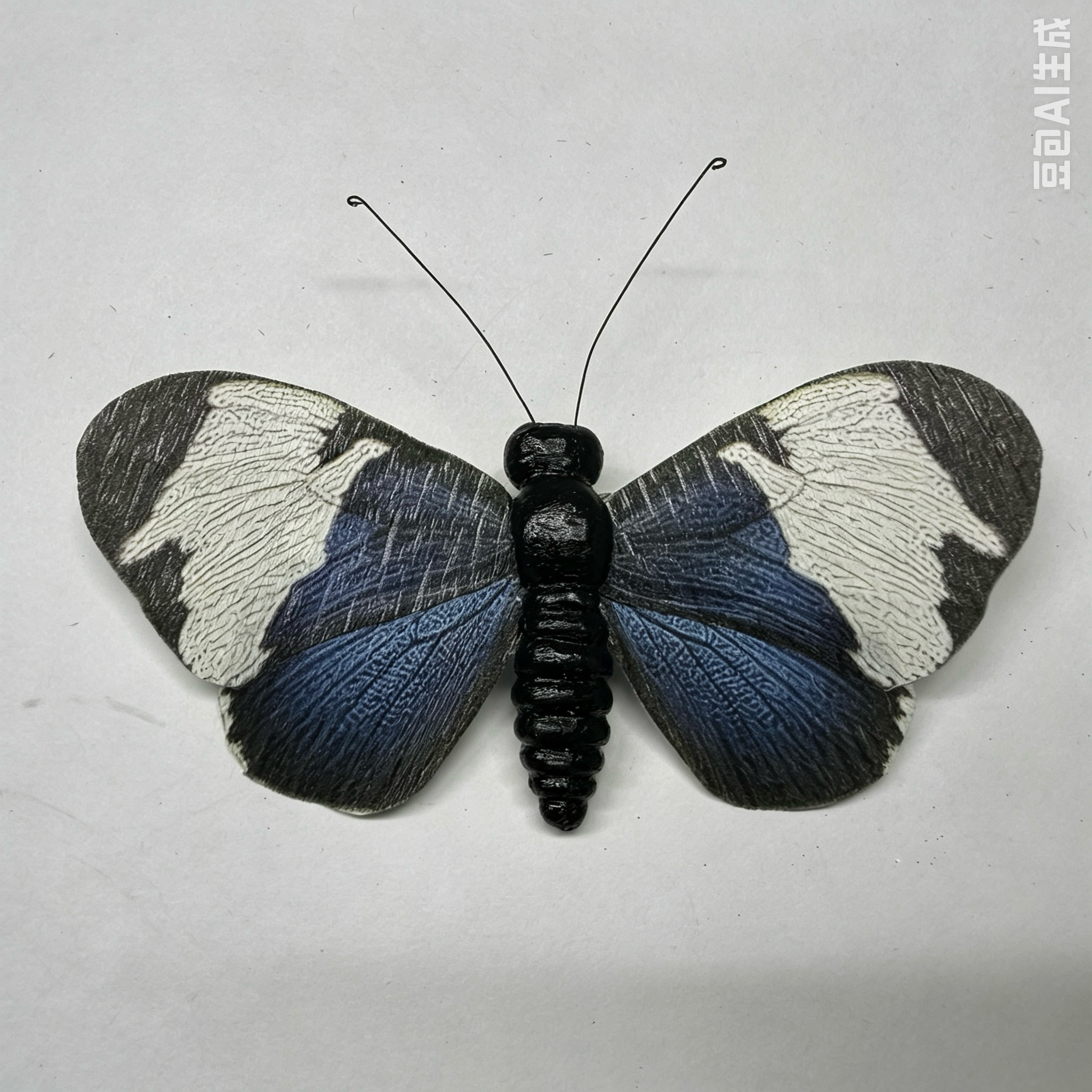 微信图片_20260514145308_811_4 26T0613 - 图片 1