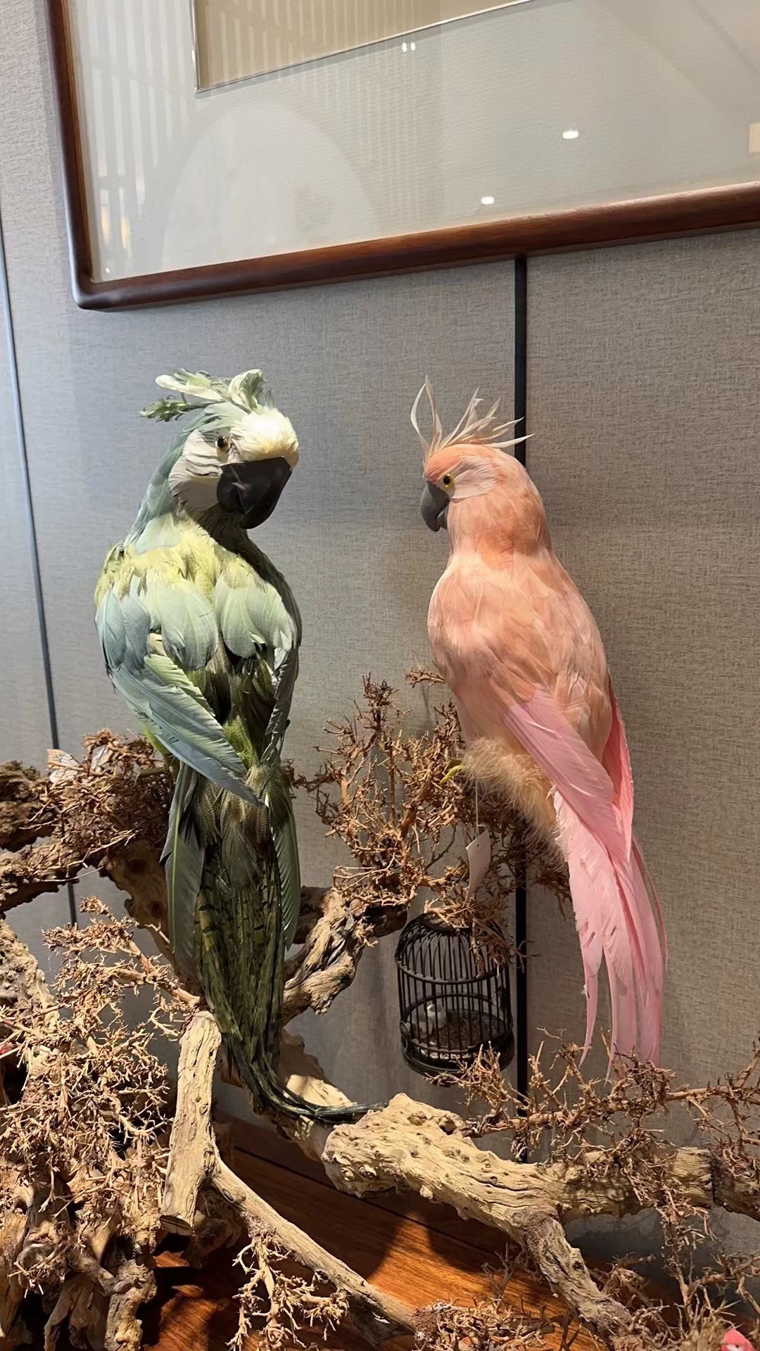 Custom large feather parrot decorations
