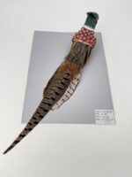26YZ0748 - 图片 2