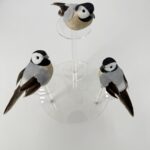 26A1002