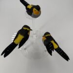 26A0689